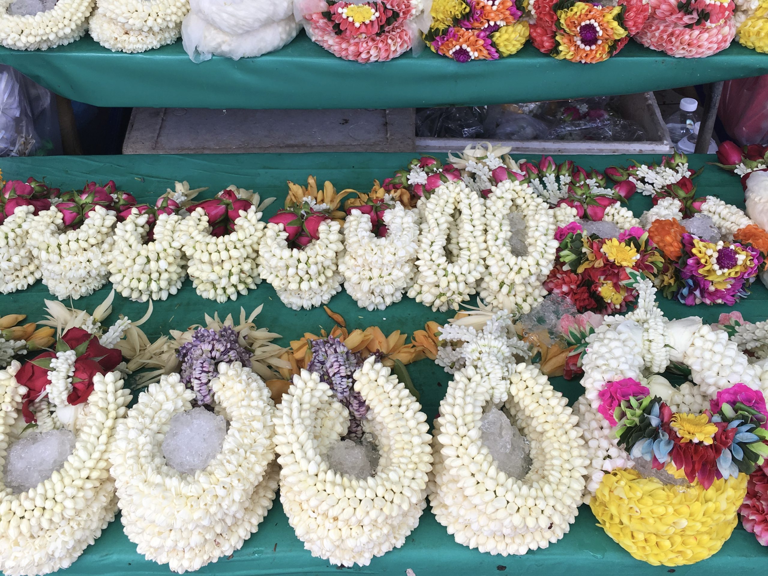 花が痛まないように、プランマーライは氷と一緒に並べて売られている。