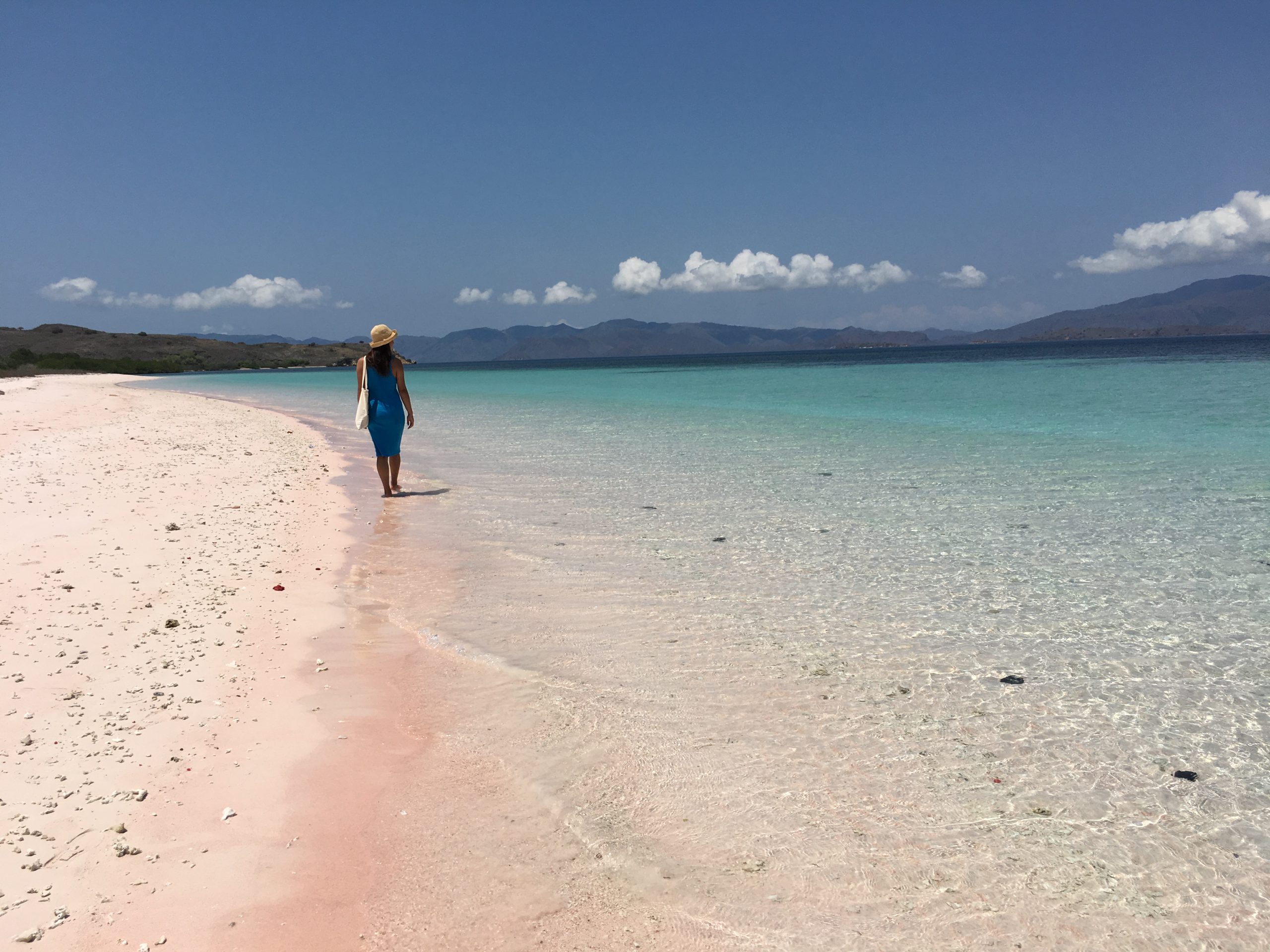 エメラルド色の透明な海と、ピンク色の砂浜のコンビネーションが美しい。