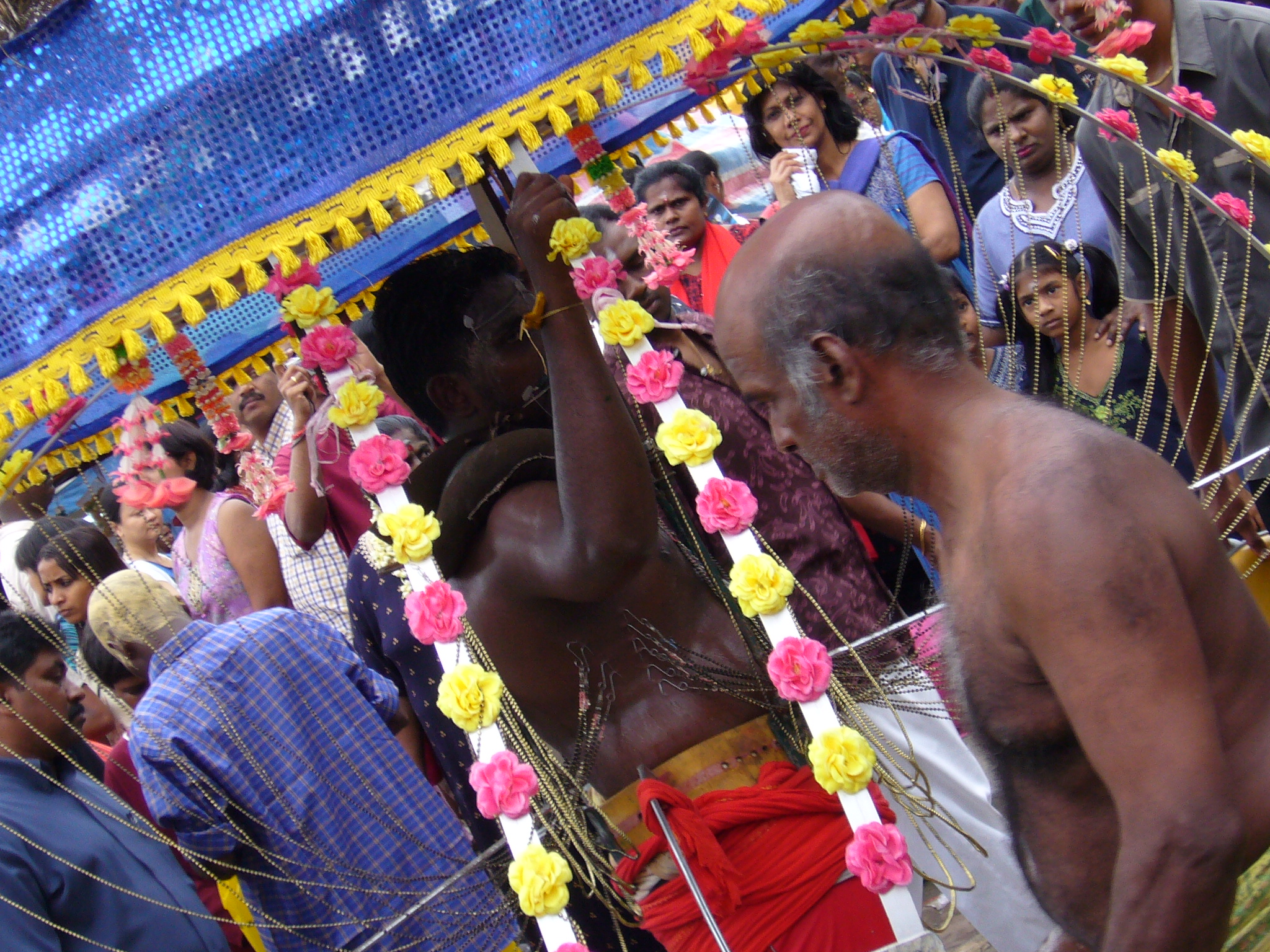 背中の皮膚に直接フックをひっかけて重い山車（カバディ）を背負って歩いている信者