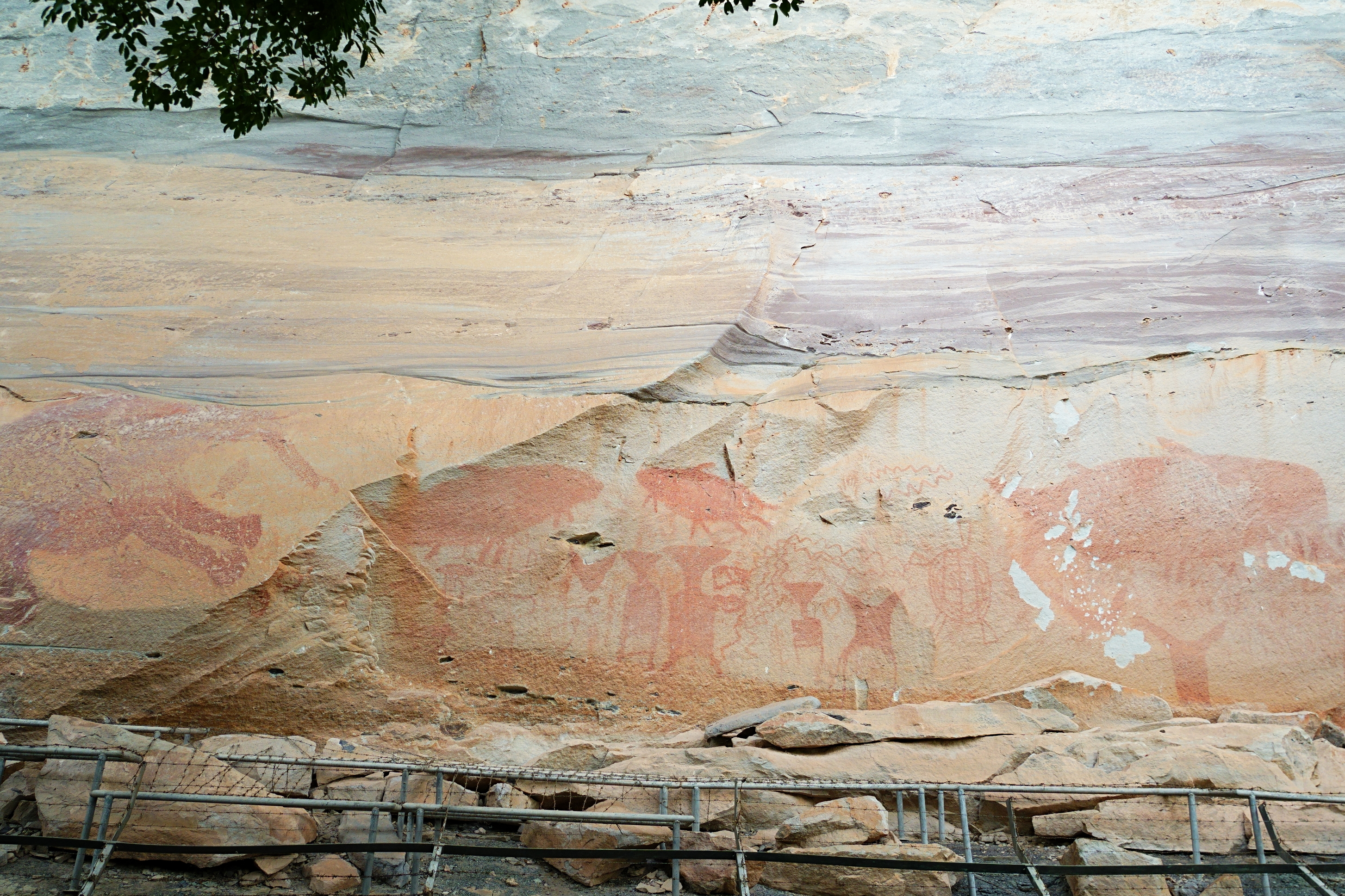 赤い顔料で描かれた岩絵。人々とともにゾウや亀、巨大ナマズの姿も描かれている