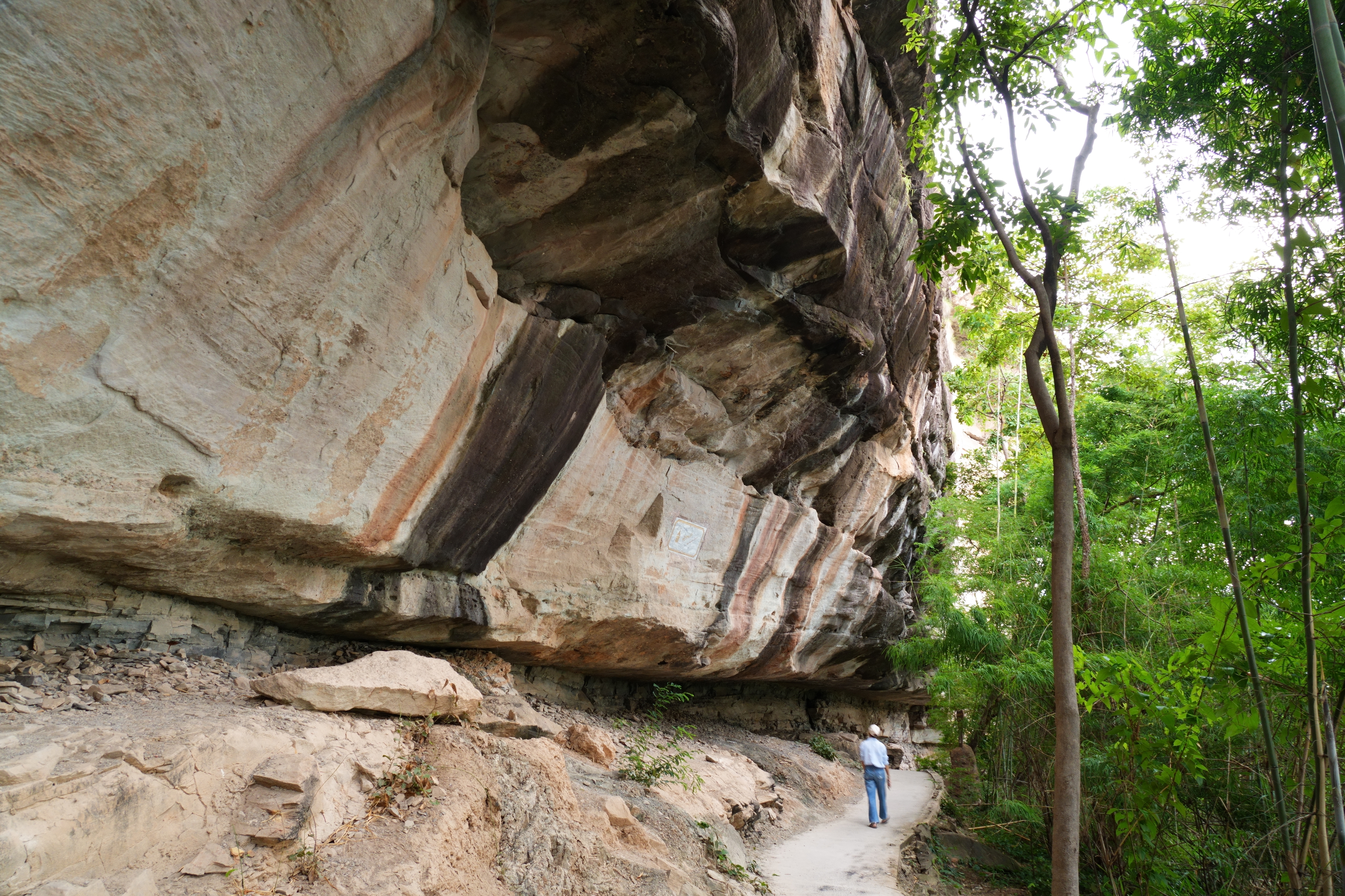 岩と木々に覆われた敷地内には歩道が整備されていて、約1~2時間のトレッキングをしながら壁画を見ることができる