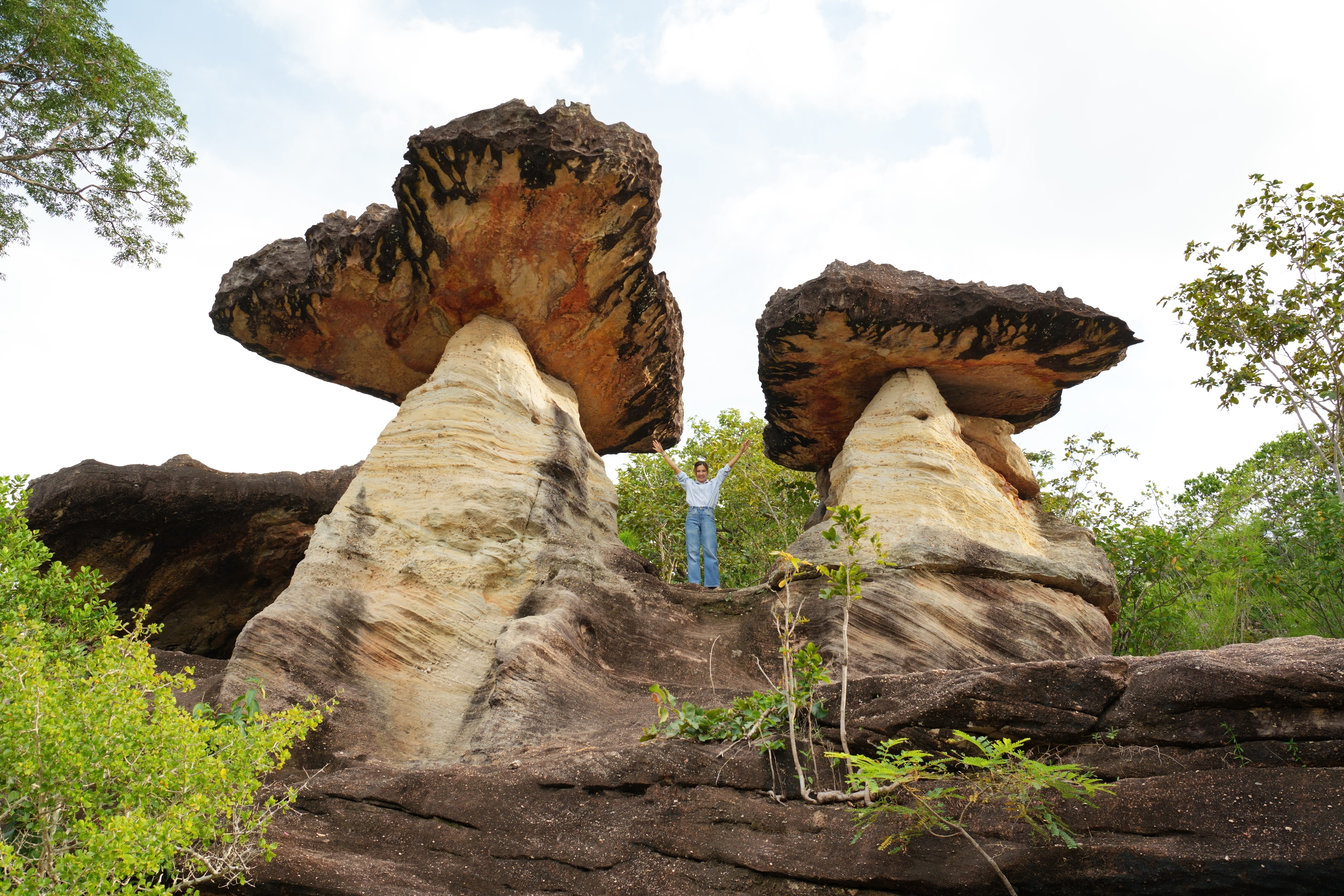 固さの異なる岩が風雨に削られてできたキノコ岩。表面には貝殻の化石が見られ、約100万年前は一帯が海だったといわれている