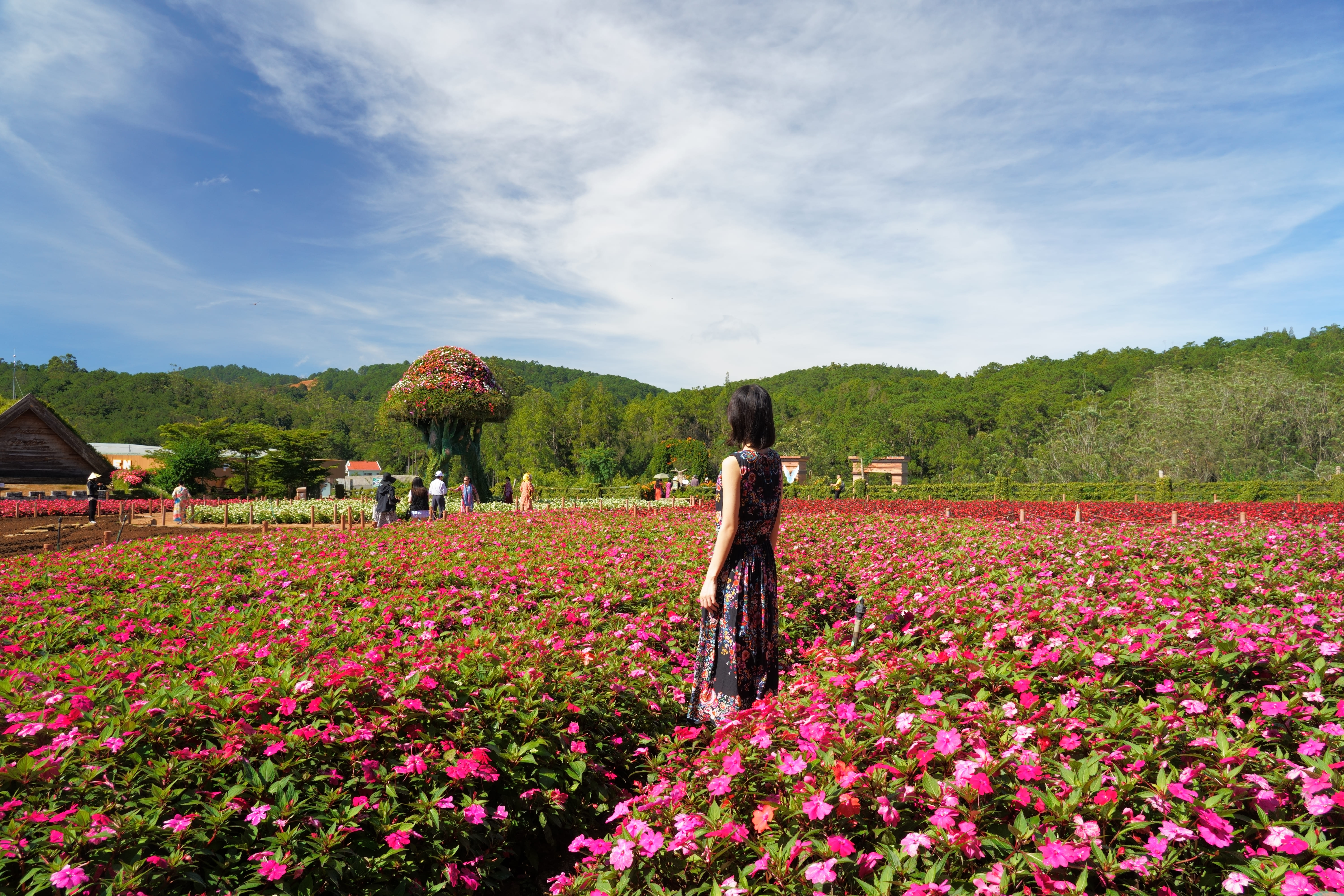 花の都と呼ばれるダラットらしい写真が撮れる