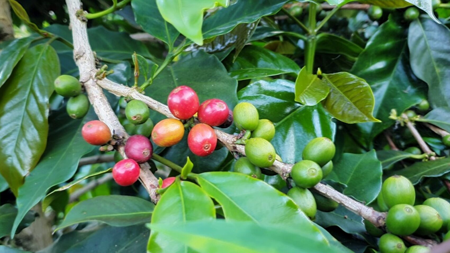 写真：Katsuhisa Ota