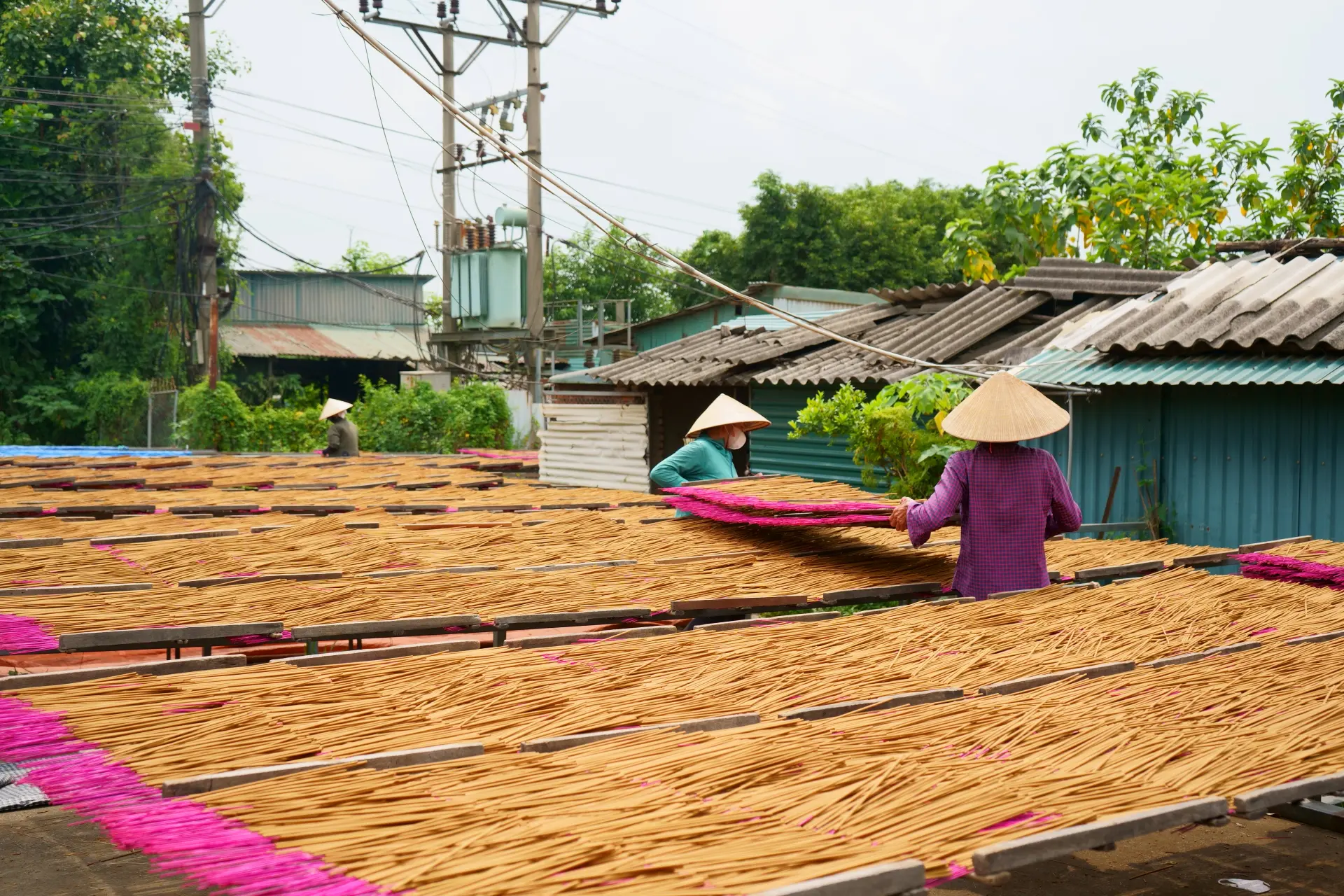 天気の良い日には、線香を並べて仕上げの天日干し。ほんのり線香の香りが漂う。