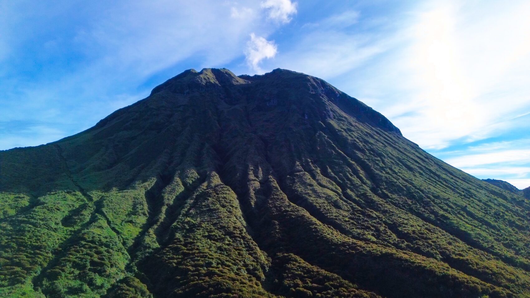 写真：Adobe Stock