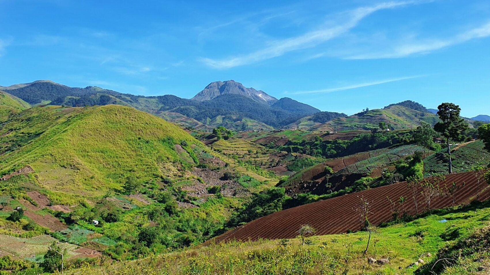 写真：Katsuhisa Ota