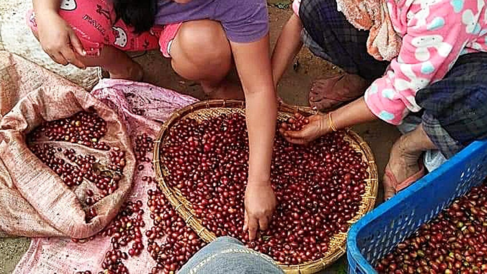 写真：Katsuhisa Ota